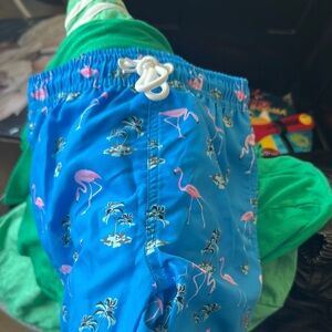 Angel Season Blue Flamingo Swim Trunks for Kids